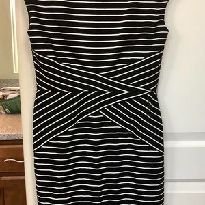 WHBM , NWT, size 6 dress